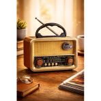 Ns-8110Bt Nostaljik Radyo Görünümlü Bluetooth,Hafıza Kartı,Usb Bellek,Aux Ve Radyo Destekli Hoparlör Gri Vitrin