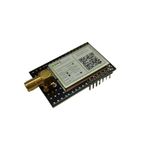 NTR09RSL8 868MHz RF LoRa Transceiver Modülü (SX1262, SAW Filtre, TCXO, RF Ekran, +13dBm, SMA RF Konnektör)