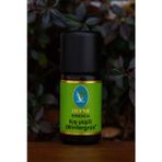 Nu-Ka Defne Essencia Kış Yeşili Organik (Wintergrün) %100 Saf Uçucu Yağ 10Ml
