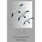 nueluxury 3 lü Natural Düz Martı Duvar Ev Bahçe Balkon Dekorasyon Süsü