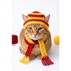 Nuigo El Örgüsü Taraftar Temalı Kedi Şapkası - Sarı Kırmızı