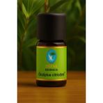 Nuka 10 ml Okaliptus Citriodora Yağı