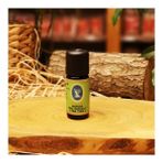 Nuka Hint Defnesi/Tea Tree Yağı 10 ml - Damıtma (Organik - Fransa)