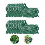 nuluxi Bitki kelepçesi, bitki klipsleri, sağlam plastik bitki tutucu, bitki sarmaşık kafesleri, bitki kelepçeleri, bitki bağlayıcı, bitkiler için tırmanma yardımcısı, bitki emniyeti, ekmeyi destekler, yeşil