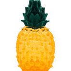 Nunbell Ananas Aromalı Köpek Oyuncağı