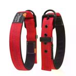 Nunbell Desenli Köpek Boyun Tasması Siyah 32-40 Cm