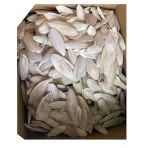 Nunbell Kırık Mürekkep Balığı Kemiği (Kalamar) 500 Gr