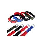 Nunbell Köpek Boyun Tasması Hrb-026