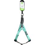 Nunbell Köpek Göğüs Tasması 2 cm (Göğüs: 40 cm - 70 Cm) - Turkuaz