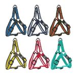 Nunbell Reflektörlü Küçük-Orta Irk Köpek Göğüs Tasması S-M (Göğüs: 40 cm - 50 Cm) - Turkuaz