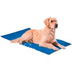 Nunbell Serinleticili Köpek Yatağı XXLarge 50x90 cm Mavi