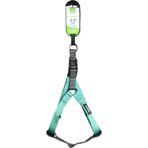 Nunbell Turkuaz Köpek Göğüs Tasması 1,5 Cm (Göğüs: 30 Cm - 50 Cm)