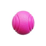 Nunbell Yavru ve Küçük Irk Zıplayan Sert Top Köpek Oyuncağı 4.5 cm