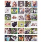 Nunuki Yavru Kediler Sticker Seti Sevimli Kedicik Sticker Tatlı Minik Kedi Çıkartma Etiket NSTI0059 - -- - 1 Adet
