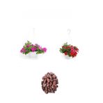 Nura Botanik 3'Lü Peyzaj Seti, Pembe Mine Kırmızı Petunya Çiçeği, 10-30 cm, 2lt Kültür Toprağı