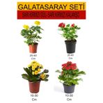 Nura Botanik 4'Lü Takım Seti Sarı-Kırmızı Gül ve Sarı-Kırmızı Kalanşo Çiçeği