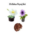 Nura Botanik Beyaz Petunya, Açık Mor Petunya, Dekoratif Taş 3'lü Peyzaj Seti