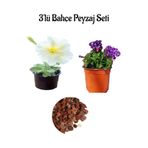 Nura Botanik Beyaz Petunya, Mor Benekli Petunya, 2lt Dekoratif Taş 3'lü Peyzaj Seti