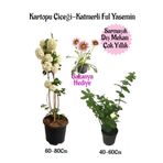 Nura Botanik Kartopu Çiçeği, Katmerli Ful Yasemin, Pembe Gazanya Hediyeli Saksılı Bahçe Seti