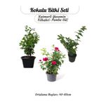 Nura Botanik Kokulu Bitki Seti Katmerli Ful Yasemin +Filbahri +Isparta Gülü Bahçe Balkon Bitkisi