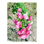 Nura Botanik Minyatür Pembe Gül Fidanı, 1 Adet, 10-15cm Saksılı, Çok Renkli