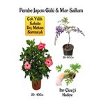Nura Botanik Pembe Japon Gülü Çiçeği, Mor Salkım Ağacı Fidanı, İtır Çiçeği Hediyeli Bahçe Peyzaj Seti