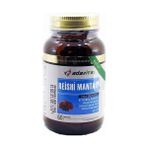 Nurs Reıshı Mantarı 60 Lı Kapsül