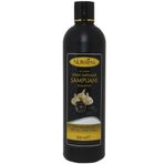 Nursima 350 ml Siyah Sarımsak Özlü Bitkisel Şampuan