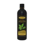 Nursima 350 ml Standart Defne Şampuanı