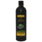 Nursima Ardıç 350 ml Şampuan