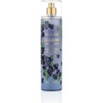 Nurxos 9077 Blueberry Yaban Mersini 250 ML Kadın Erkek Koku Vücut Spreyi 8681124690777