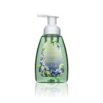 Nurxos Nilüfer Köpüren 350 ml El Sabunu