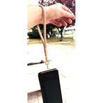 Nusrat Bilişim Çanta Aksesuar Taşlı Bej Renk Telefon Bilek Askısı, Telefon Zinciri, Tüm Telefon Kılıfları İçin Uygun