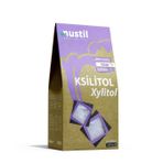 Nustil Nutrition Style Ksilitol - Xylitol 250g