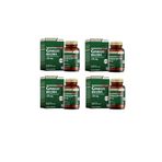 Nutraxin Ginkgo Biloba 120 mg 4x60 Tablet