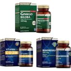 Nutraxin Ginkgo Biloba 60 Tablet + Vitamin Max (C,D,Zinc)60 Tablet + Magnesium 60 Tablet