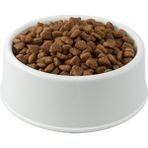 Nutri Feline Urinary Somon Etli - Açık Kedi Maması 1 kg