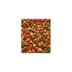 Nutribird P19 Tropical 1 Kg Acik Papagan Pelet Yem