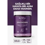 Nutriful İbn-i Sina Sirkengebin 240 gr Bitkisel Karışık Macunu