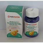 Nutrinorma Glukozamin +Metilsülfonilmetan +Kondroitin 60 Tablet