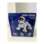 NW NessiWorld casaxmlTRU91697 6601 Uzk Kumandali Dans Edebilen Robot Köpek
