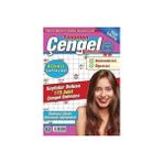 NY Home Fenomen Çengel Bulmaca 3