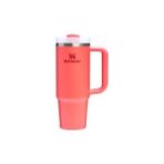 NY Home Pipetli Termos Bardak, (Hot), 0.89 Litre - 0,25 L