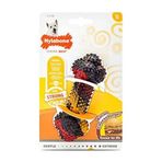 Nylabone Domuz Pastırması ve Cheeseburger Aromalı Köpek S Çiğneme Kemiği
