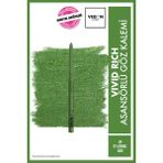 Nyx Professional Makeup Vivid Rich 09 Its Giving Jade Asansörlü Göz Kalemi