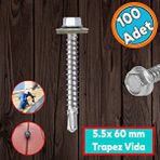 Nzb Trapez Çatı Vidası 5.5x60 Mm Paket 100 Adet Matkap Uçlu Sac Akıllı Vida Çatı Panel Metal Ağaç Vidası
