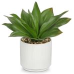 Oairse Yapay Aloe Vera, Saksıda, Yapay Bitkiler, Plastik Bitkiler, Dekorasyon, Yapay Oda Bitkisi, Oturma Odası, Balkon, Yatak Odası, Banyo, Oda için Masa