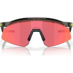 Oakley Yeşil Erkek Güneş Gözlüğü 0OO922937922916