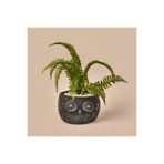 Objevi 29 cm Siyah Yeşil Saksılı Yapay Çiçek