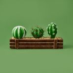 Objevi 8x21 cm Kahverengi Mini Kasada Kaktüs
